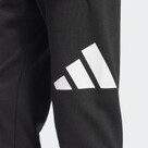 adidas M BL FL TC PANT 