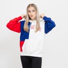Champion Hooded Sweatshirt