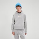 ellesse Pershuta 2 Overhead Hoodie