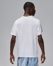 Jordan Sport Men Dri-FIT Short Sleeve T-Shirt