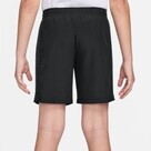 Nike Sportswear Multi Big Kids (Boys) Dri-FIT Shorts