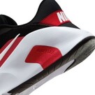 Nike Flex Train