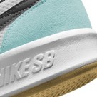 Nike SB Adversary