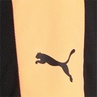 Puma individualFINAL Training Shorts