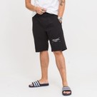 Helly Hansen RIDE LIGHT SHORTS