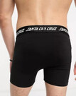 Santa Cruz Strip Boxer Brief Black
