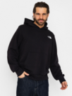 The North Face M MONTE REGULAR HOODIE-GRAPHIC