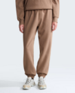 THE NORTH FACE W EVO SD REG PANT
