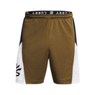 Under Armour Curry Splash Short