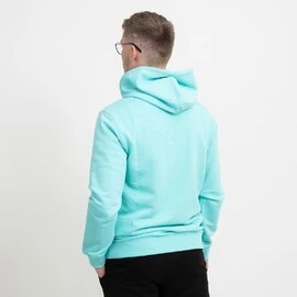 Champion Hooded Sweatshirt