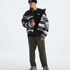 The North Face M TNF ESSENTIAL SIMPLE DOME OS SS TEE