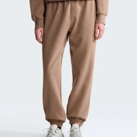 THE NORTH FACE W EVO SD REG PANT